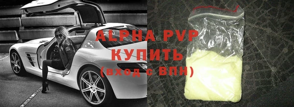 стафф Алзамай