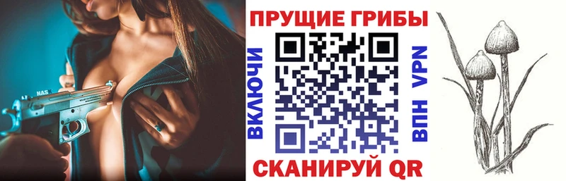 Галлюциногенные грибы прущие грибы  shop какой сайт  Мензелинск  даркнет сайт 
